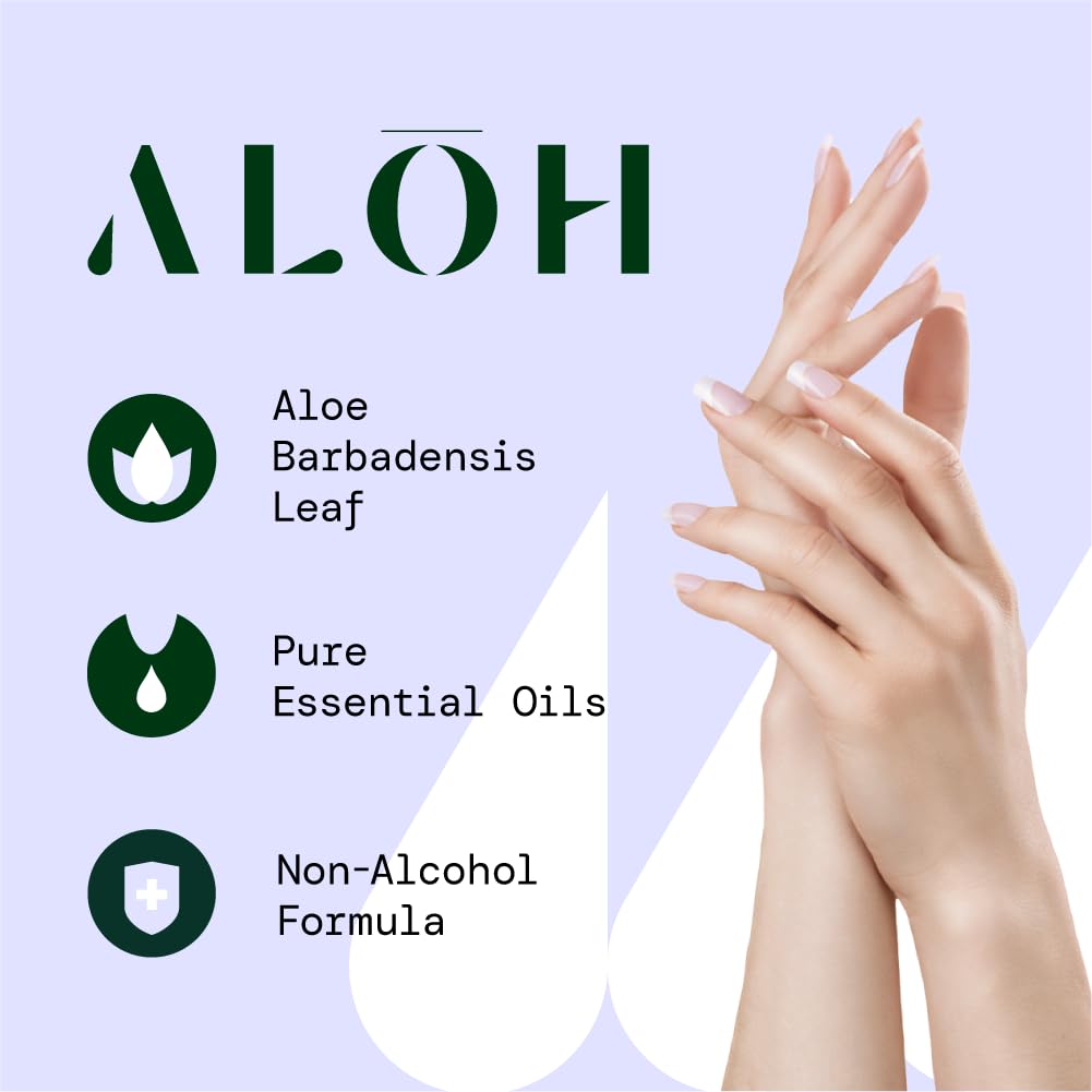 ALŌH Skin - Softening Sanitizing Hand Wipes - Peppermint Eucalyptus + Aloe (4 Boxes of 20 Individually Wrapped Wipes (80 wipes))