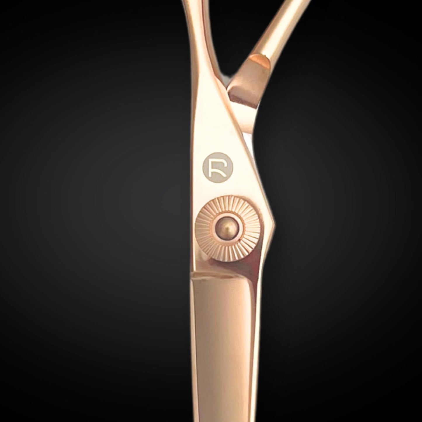Gold Hair Shears Set for Professional Hair Cutting - Scissors and Thinning Shears - Saki Shears Tsuru