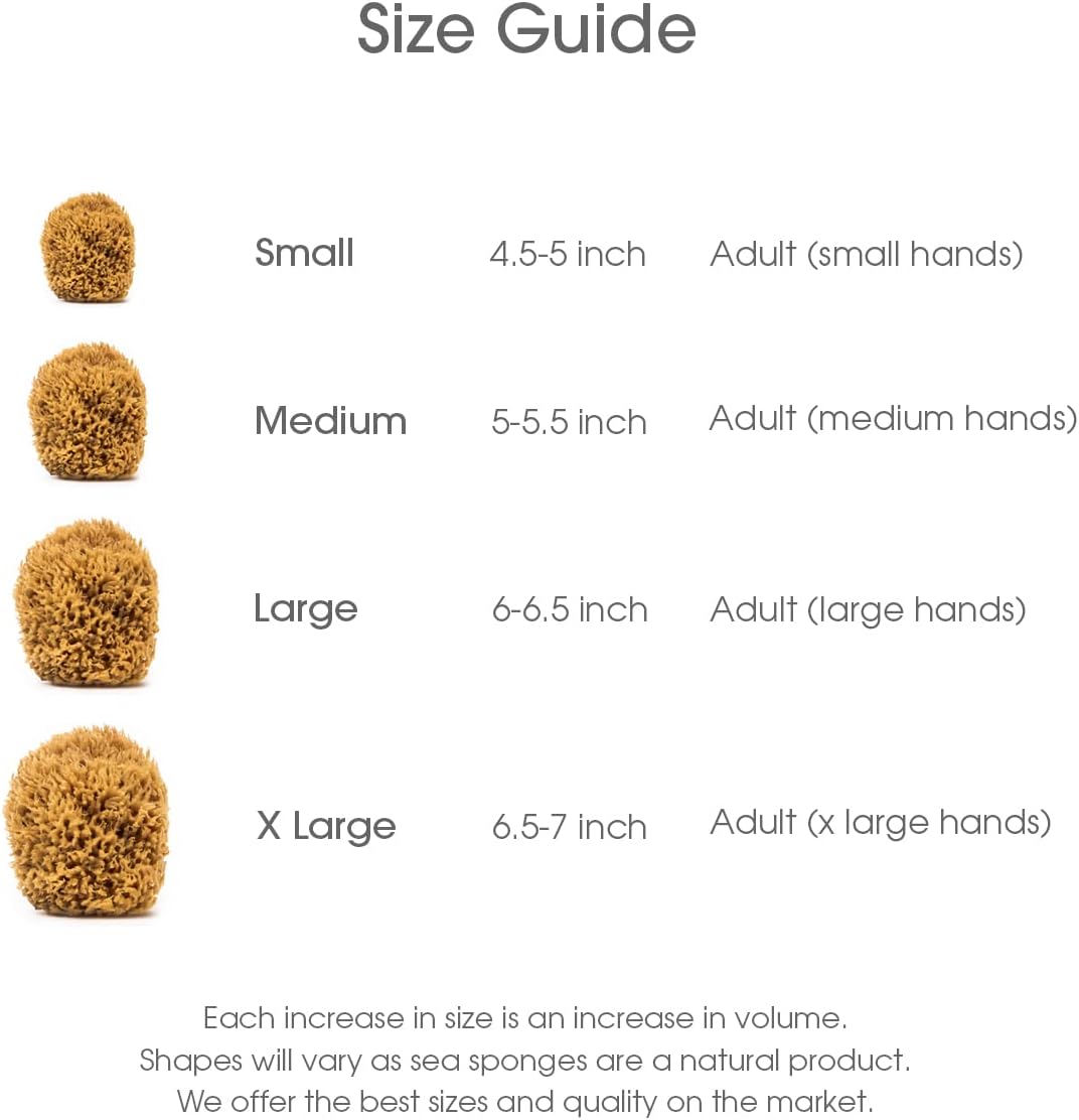 Naroa Soft Natural Shower Sponge | Gentle Sea Loofah for Bathing Smooth Skin | Unbleached Body Scrubber Puff | Bath & Spa (Small)