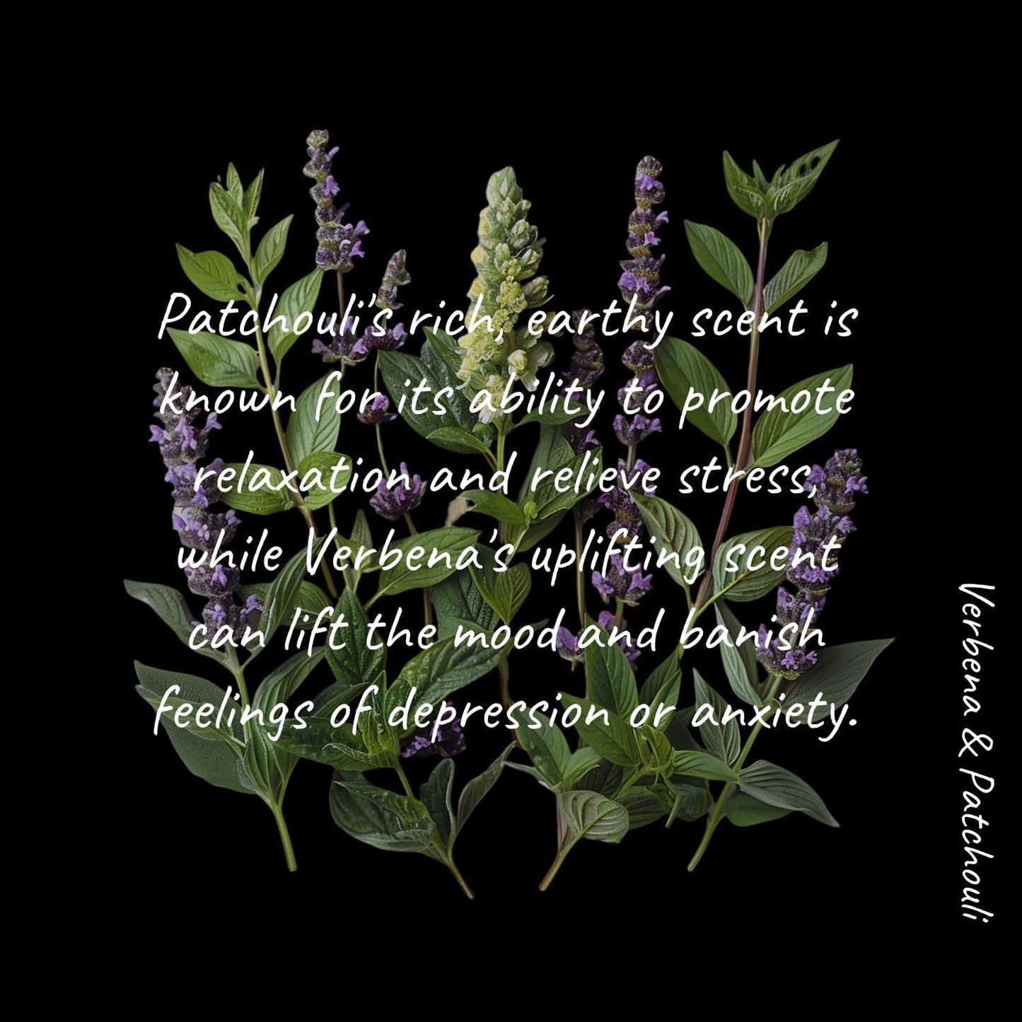 MELONY Massage Oil Candle for Pure Relaxation- 8.1 oz- Moisturizing Essential Oil Body Massage Candle for Home Spa- Amazing Gift for Women & Men (Verbena & Patchouli)