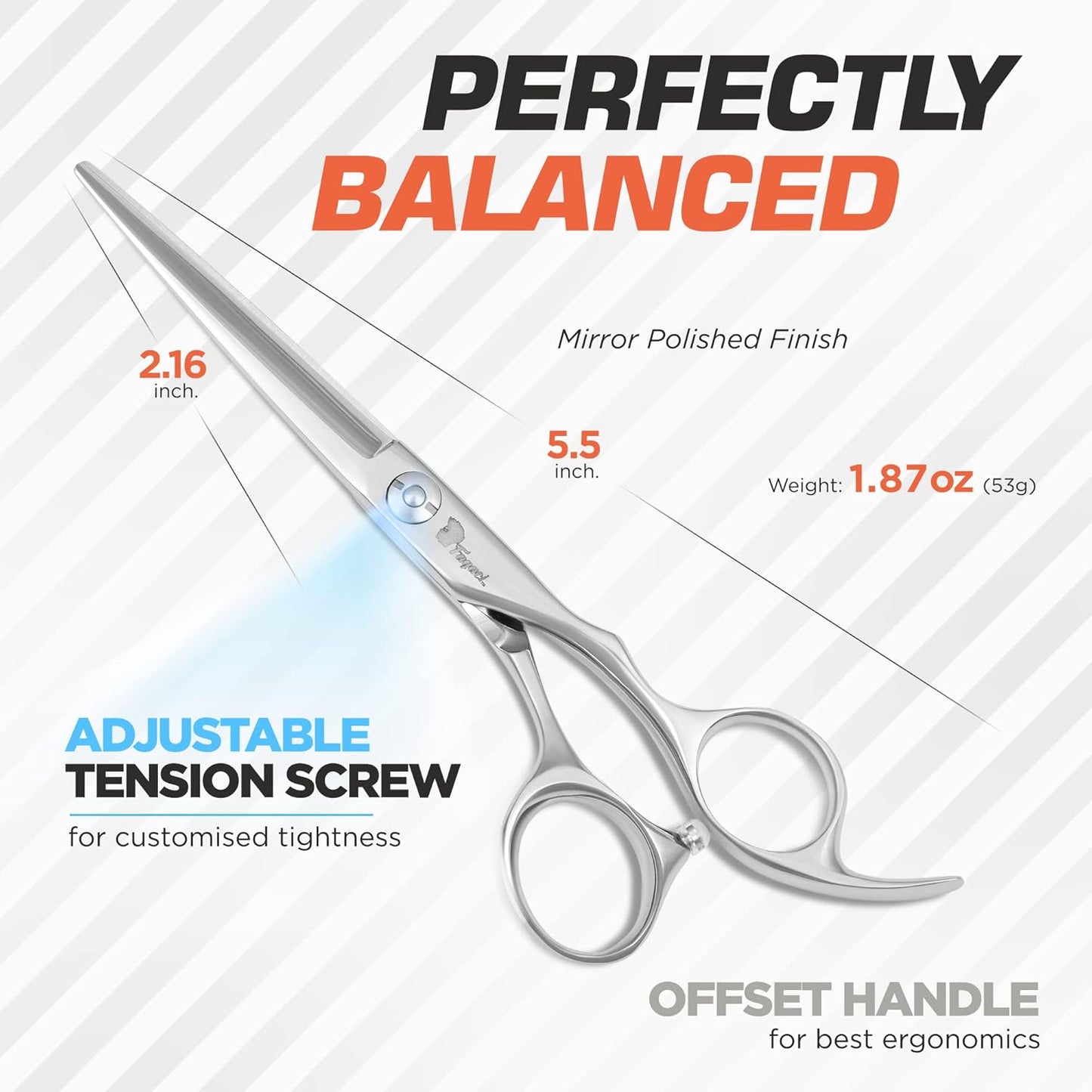 Professional Hair Scissors 5.5 Inch with Extremely Sharp Blades, 440C Steel Hair Cutting Scissors, Durable, Smooth Motion & Fine Cut, Barber Scissors with Elegant Sheath, Cleaning Leather & Key
