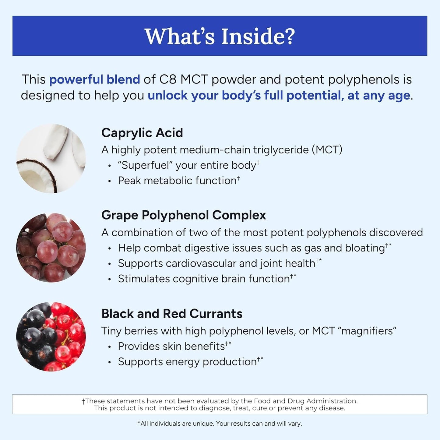 Gundry MD MCT Wellness Powder to Support Energy, Ketone Production and Brain Health, Keto Friendly, Sugar Free (90 Day Supply, Blueberry Lemonade)