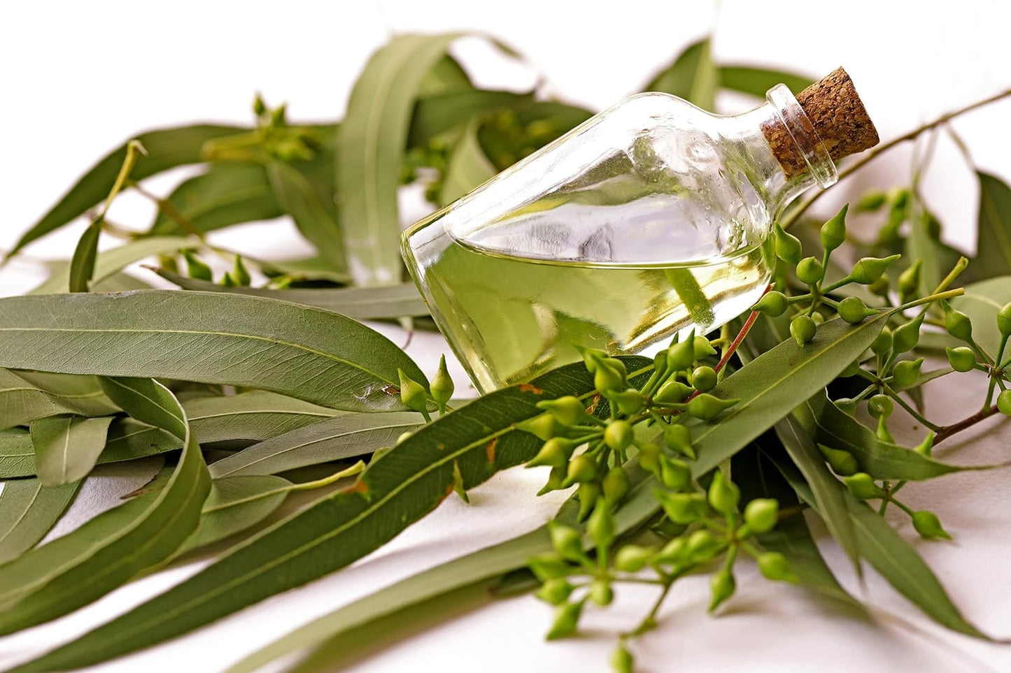 Eucalyptus Pure Oil (Globulus) - 1/2 Gallon (64 oz)