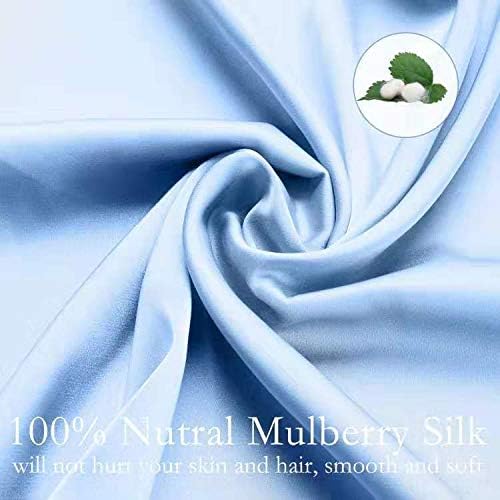 Silk Pillowcase for Hair and Skin 2 Pack 100% Mulberry Silk Bed Pillowcase Hypoallergenic Soft Breathable Both Sides Silk Pillow Case with Hidden Zipper, Pillow Cases (Standard, Blue)