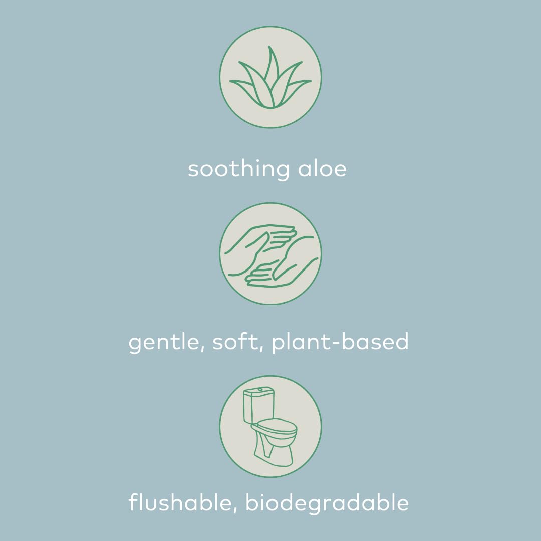 Awkward Essentials Clean AF Wipes for Personal Hygiene with Aloe & Water - Gentle, Two-Ingredient, pH-Friendly Cleansing Wipes for Body, Post-Workout & Intimate Use