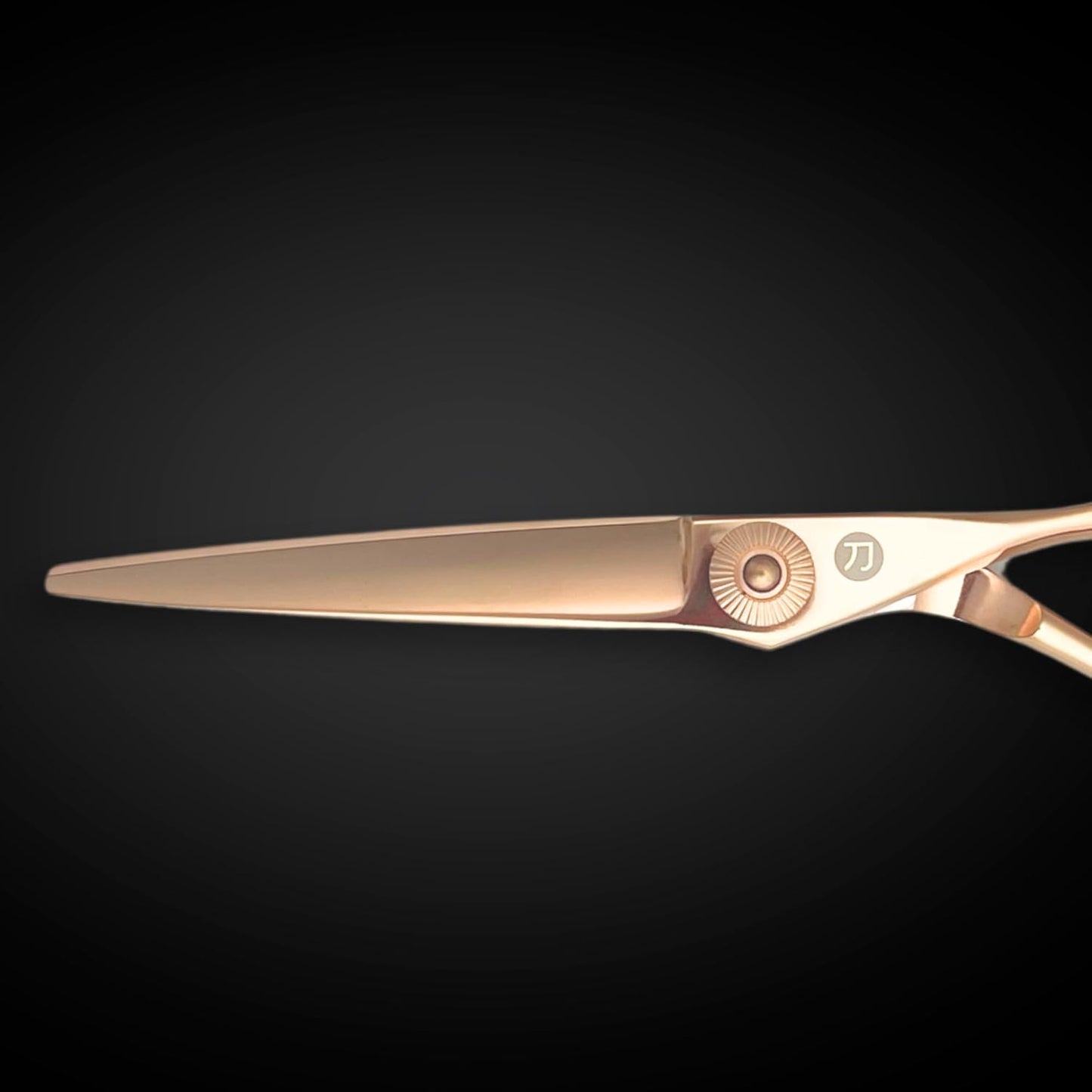 Gold Hair Cutting Shears for Professional Hairdresser - 6" Gold Hair Scissors - Japanese 440C Steel - Super Hard, Sharp Cutting Edge - Saki Shears Tsuru Gold