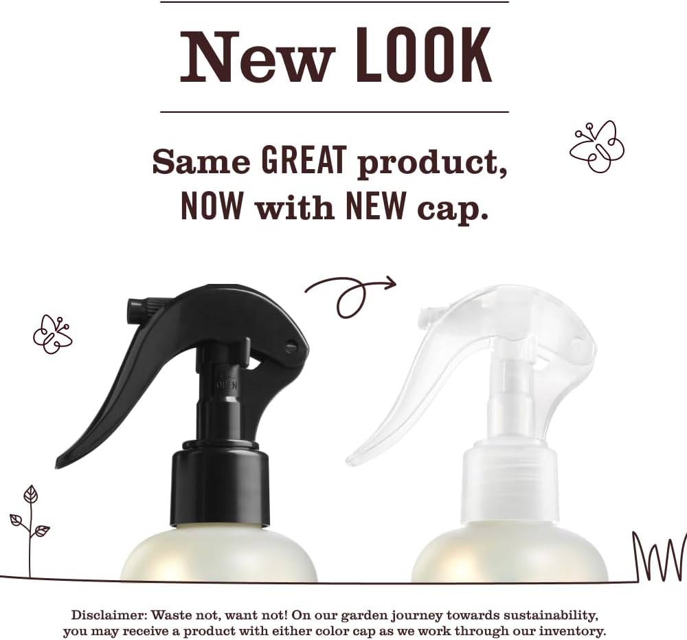 MRS. MEYER'S CLEAN DAY Room and Air Freshener Spray, Non-Aerosol Spray Bottle Infused with Essential Oils, Acorn Spice, 8 fl. oz