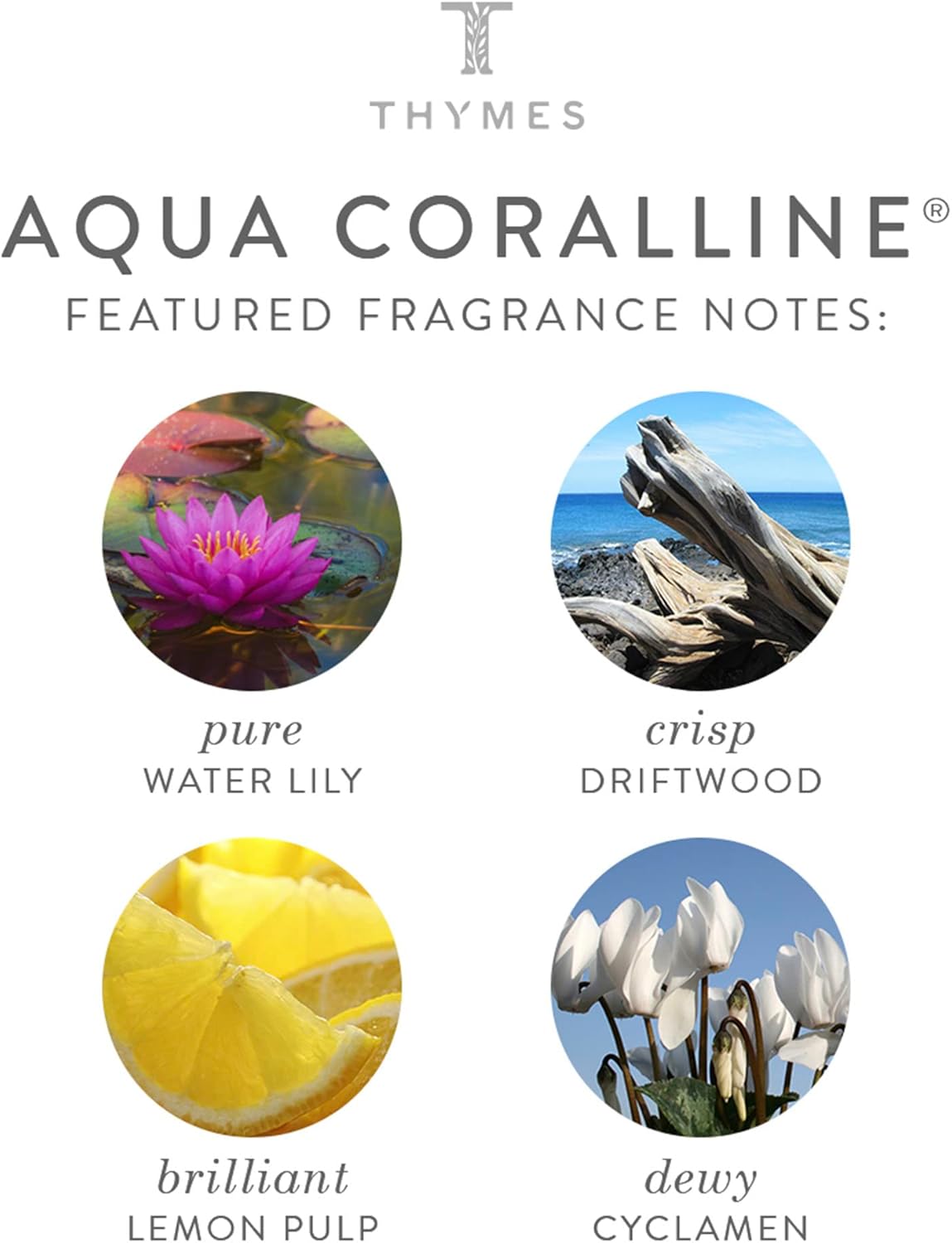 Thymes Home Fragrance Mist - Aqua Coralline Scented Room Spray for Home - Air Freshener (3 oz)