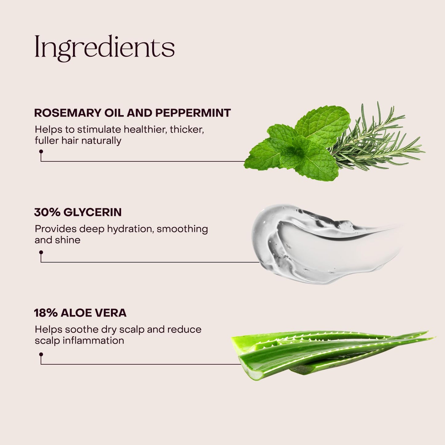 Everist The Shampoo Concentrate – Waterless Bond-Repair Cream Shampoo for All Hair Types – Glycerin & Aloe Hydration with Rosemary & Peppermint – Plant-Based, Vegan, Color-Safe - 3.4 fl oz TIN