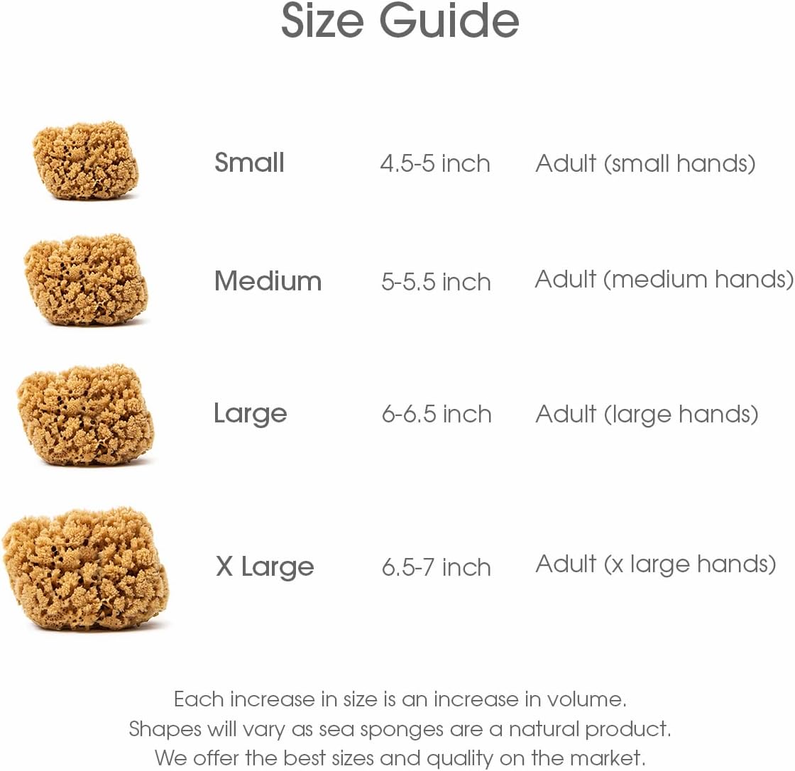 Naroa Massage Natural Shower Sponge X Large | Unbleached Body Scrubber Puff | Bath Sea Loofah for Healthy Skin | Sustainable Plastic Free