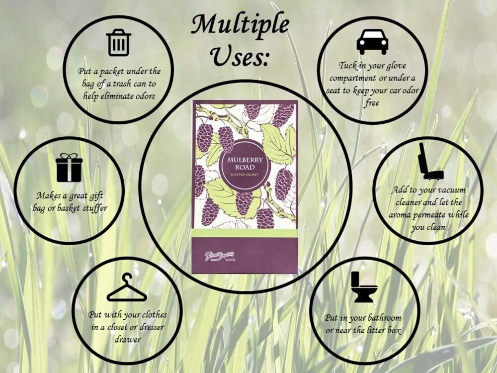 Mulberry Road Scented Sachets Pack of 6, Spring and Summer - Long-Lasting Scented Bags, Home Fragrance, Air Freshener & Deodorizer for Closet, Room, Drawer, or Cars, Made in USA