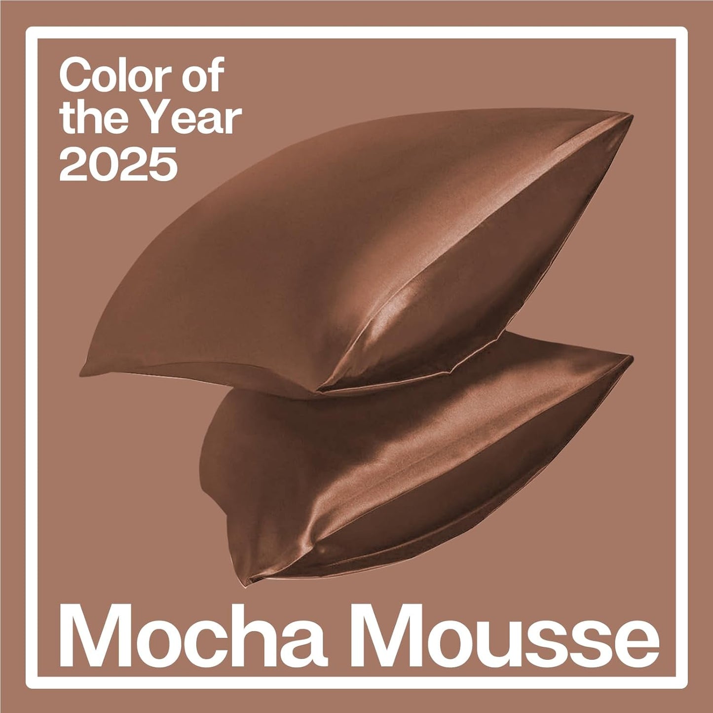 MR&HM Satin Pillowcase for Hair and Skin, Silk Satin Pillowcase 2 Pack, Standard Size Pillow Cases Set of 2, Silky Pillow Cover with Envelope Closure (20x26, Mocha Mousse)