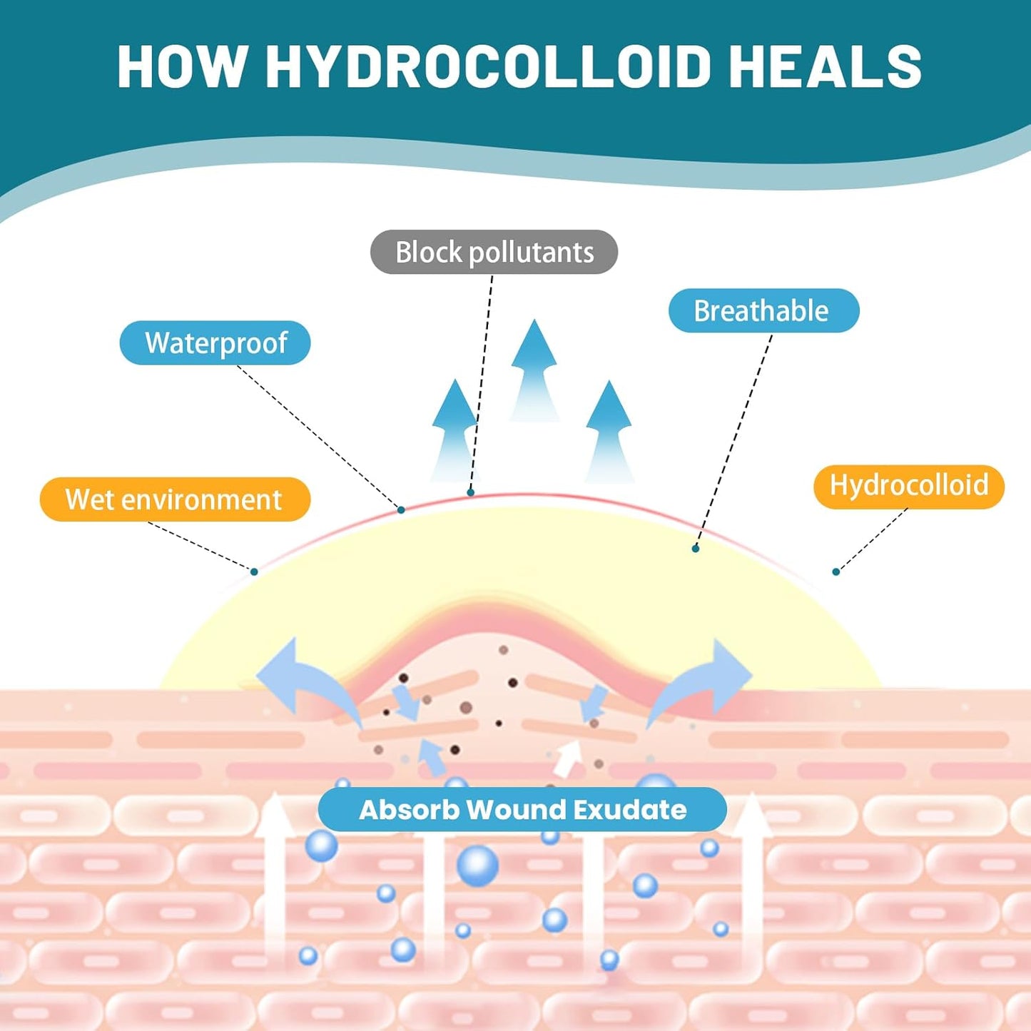 WUYUAN Hydrocolloid Roll for Wound Care, 2in*6.6ft Hydrocolloid Bandages with Self-Adhesive, Extra Large Hydrocolloid Patch Bandages Cut-to-Size, Ultra Absorbent, Waterproof