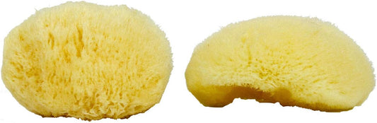 Sea Silk Sponge 2pc Kit, Hand Cut, Medium, Approx. 2-3 inches, Ideal for Cosmetic Use and Facial Cleansing