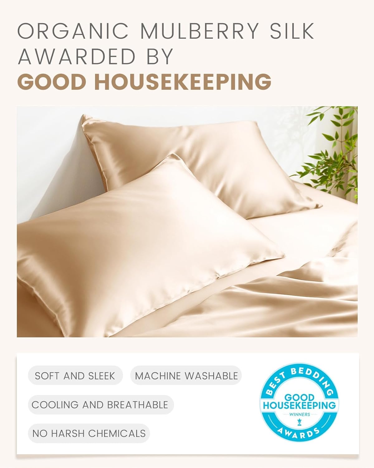 THXSILK Set of 2 100% Mulberry Silk Pillowcase for Hair and Skin, Grade 6A+ Mulberry Silk Pillow Cases Ultra-Soft, Hypoallergenic Pillow Case Cover with Zipper (California King 20"x40", Beige)