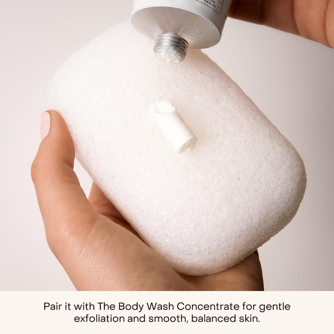 Everist The Compostable Konjac Sponge, 100% Natural Plant-Fiber Cleansing & Reusable Shower Sponge for Smoother Skin, Gentle Exfoliation, 1 Each