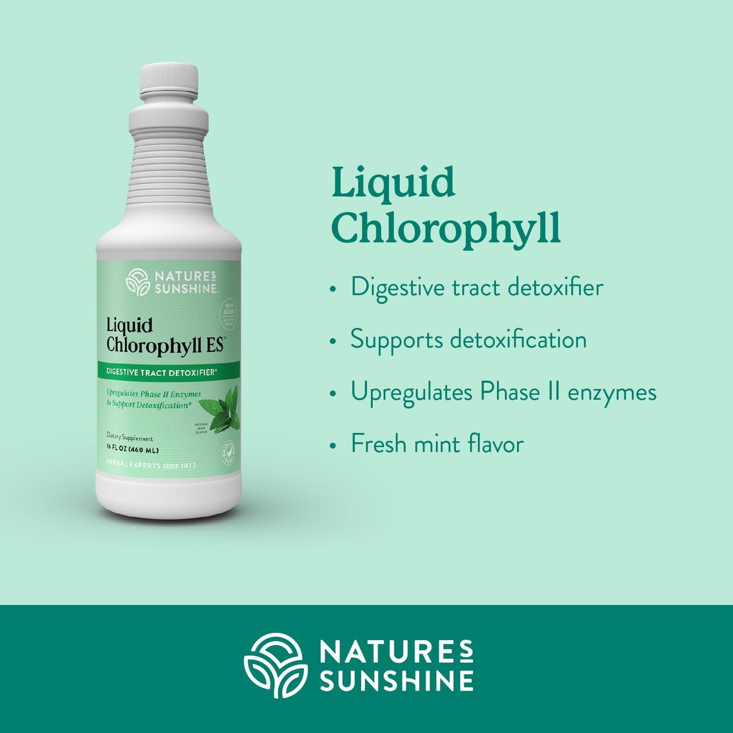 Nature's Sunshine Liquid Chlorophyll Extra Strength - Immunity Support, Detox & Cleanse, Chlorophyll Liquid Drops with Spearmint Oil, Natural Energy Boost, Internal Deodorant - 16 Fl Oz