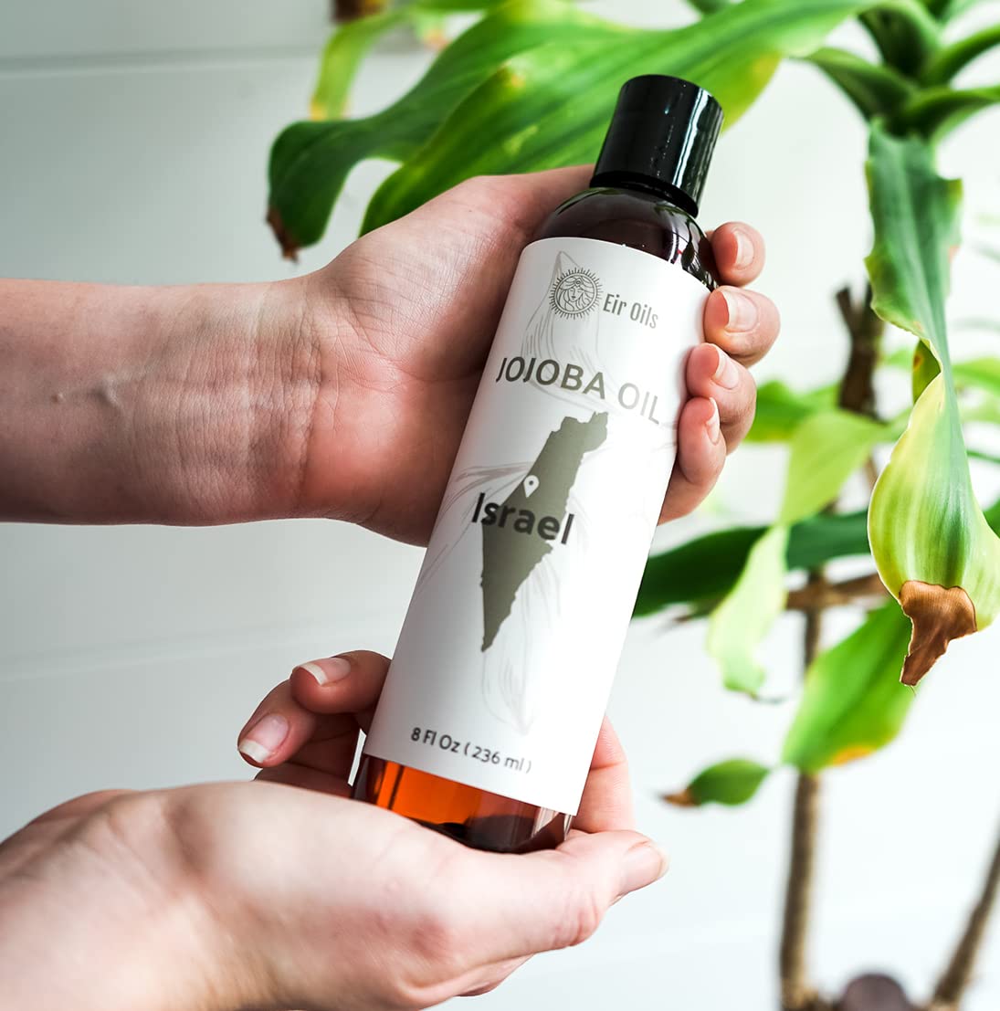 Jojoba Oil - Direct from EIR Oils' Farm in Israel - 100% Pure Carrier Oil for Hair, Face, and Skin - Hand-Picked, Cold-Pressed Carrier Oil (1 Gallon)