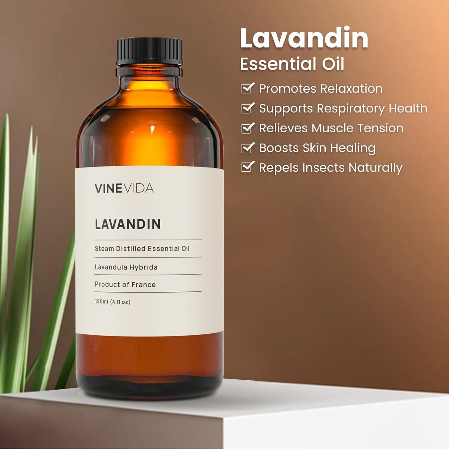 VINEVIDA Lavandin Essential Oil 4 oz - Undiluted Lavandin Oil - DIY Candle Scents for Candlemaking - Bulk Essential Oil for Soap Making Safe for Skin