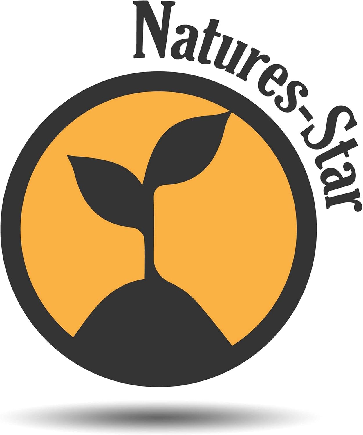 16oz Eucalyptus Essential Oil, Therapeutic Grade, Candle Making, Candle Scents, Soap Making, Aromatherapy Oil - Eucalyptus Scent