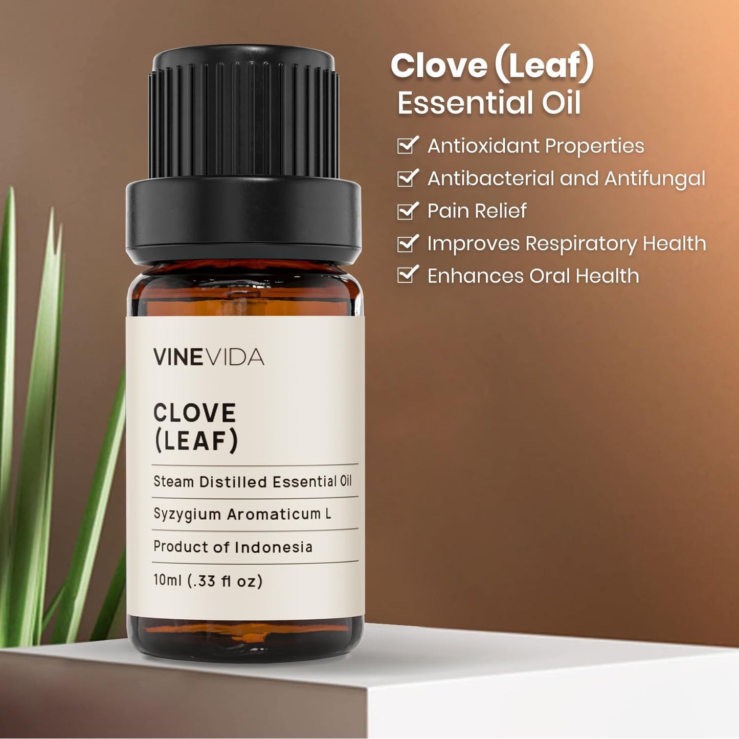 VINEVIDA Clove Essential Oil - 10 mL Undiluted Leaf Oil - DIY Candle Scents - Safe for Soap Making