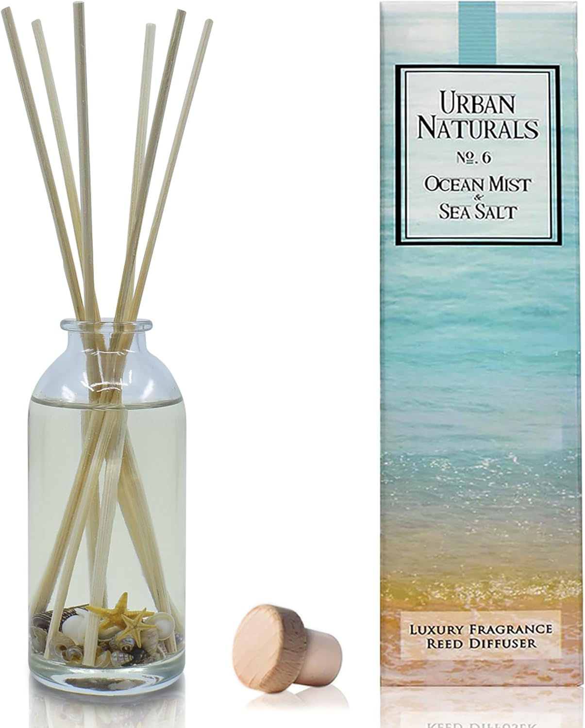 Urban Naturals Ocean Mist & Sea Salt Reed Diffuser Set | Made with Essential Oils & Real Seashells | Decorative Air Freshener Room Diffuser