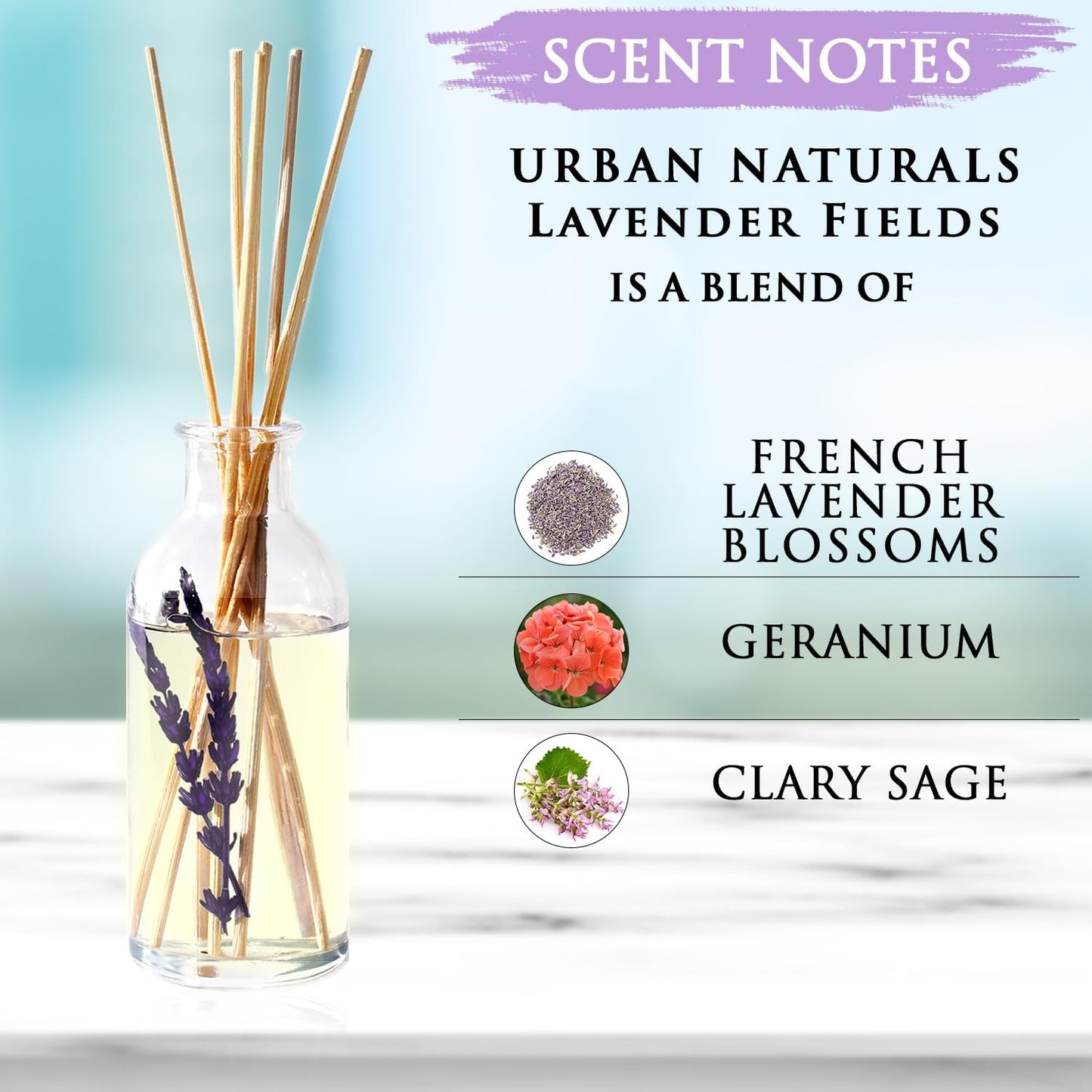 Urban Naturals Lavender Fields Oil Essential Oil Reed Diffuser Set with Real Lavender Stems! French Blossoms, Geranium & Clary Sage | #1 Gift Idea for Aromatherapy & Stress Relief | Vegan | USA Made