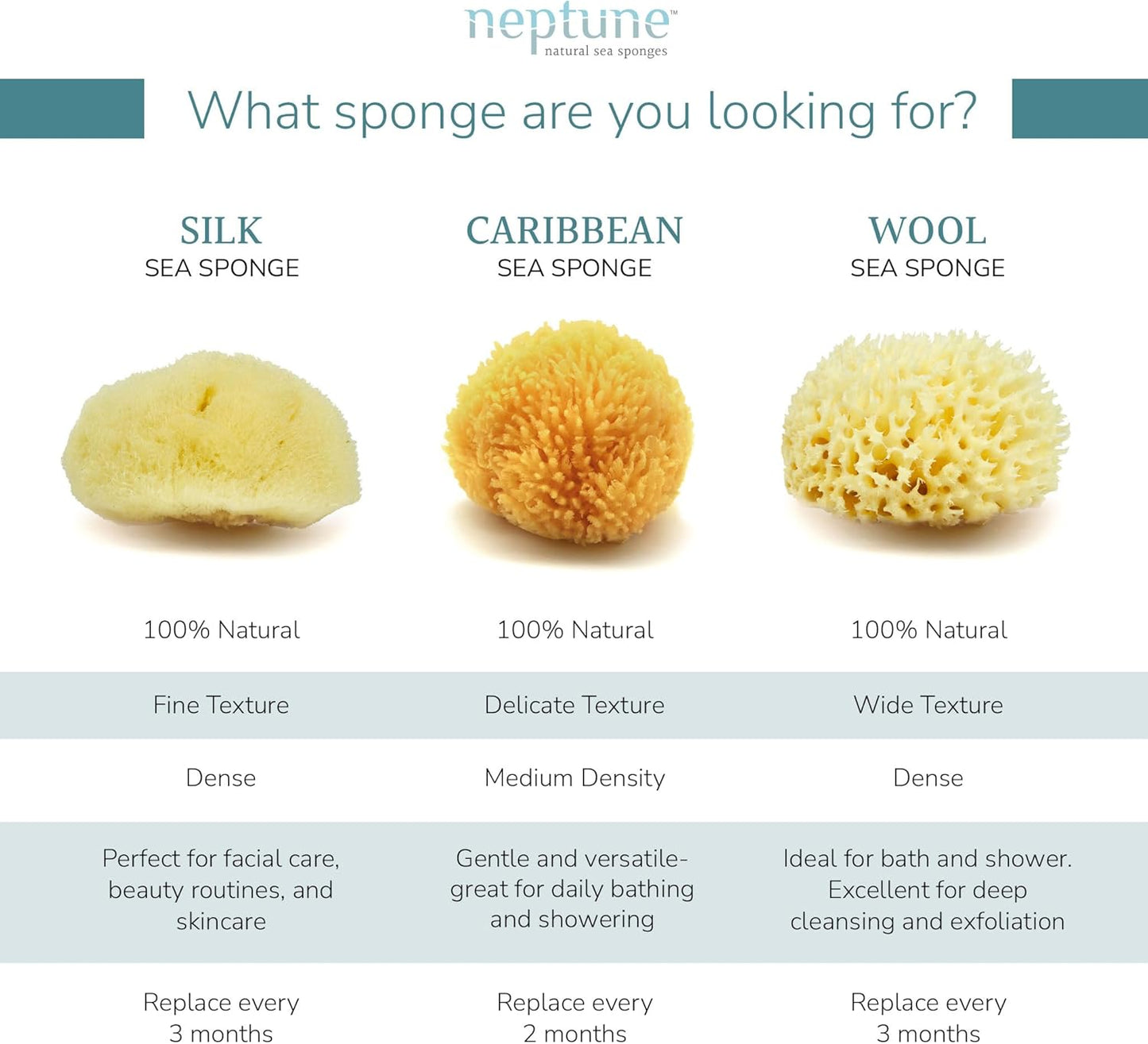 Neptune Caribbean Sea Sponge, Hand Cut, Large, Approx. 6-7 inches (Pack of 2)