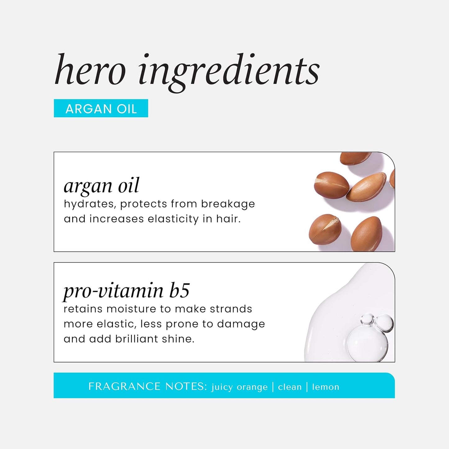 HASK Argan Oil Repairing Shampoo + Conditioner Set | Color Safe, Sulfate-Free, Paraben-Free, Gluten-Free, Cruelty-Free, For All Hair Types | 12oz each