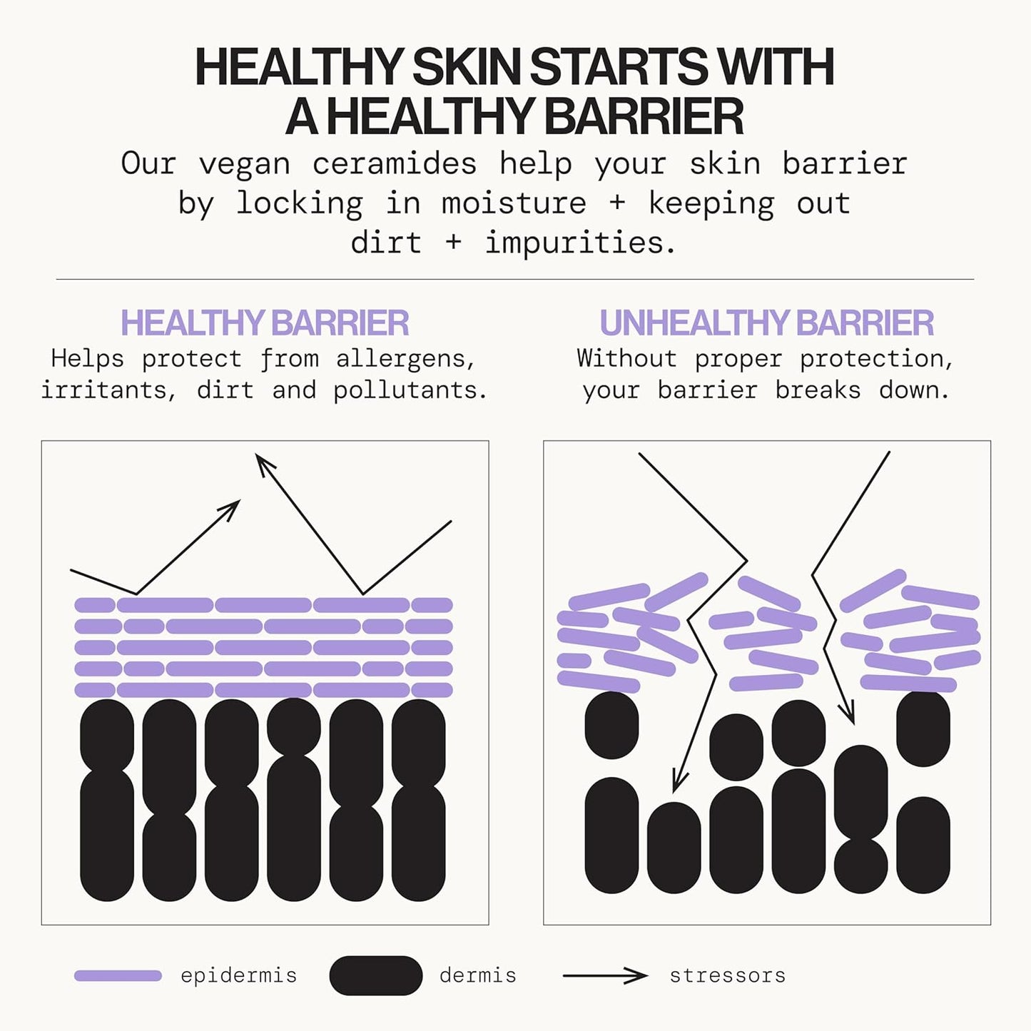 Pacifica Face Cream - Vegan Ceramide Barrier Cream w/Niacinamide & Shea Butter - Hydrating Daily Face Moisturizer Fragrance Free for Sensitive Skin, Vegan, Clean Beauty Allergy & Dermatologist Tested