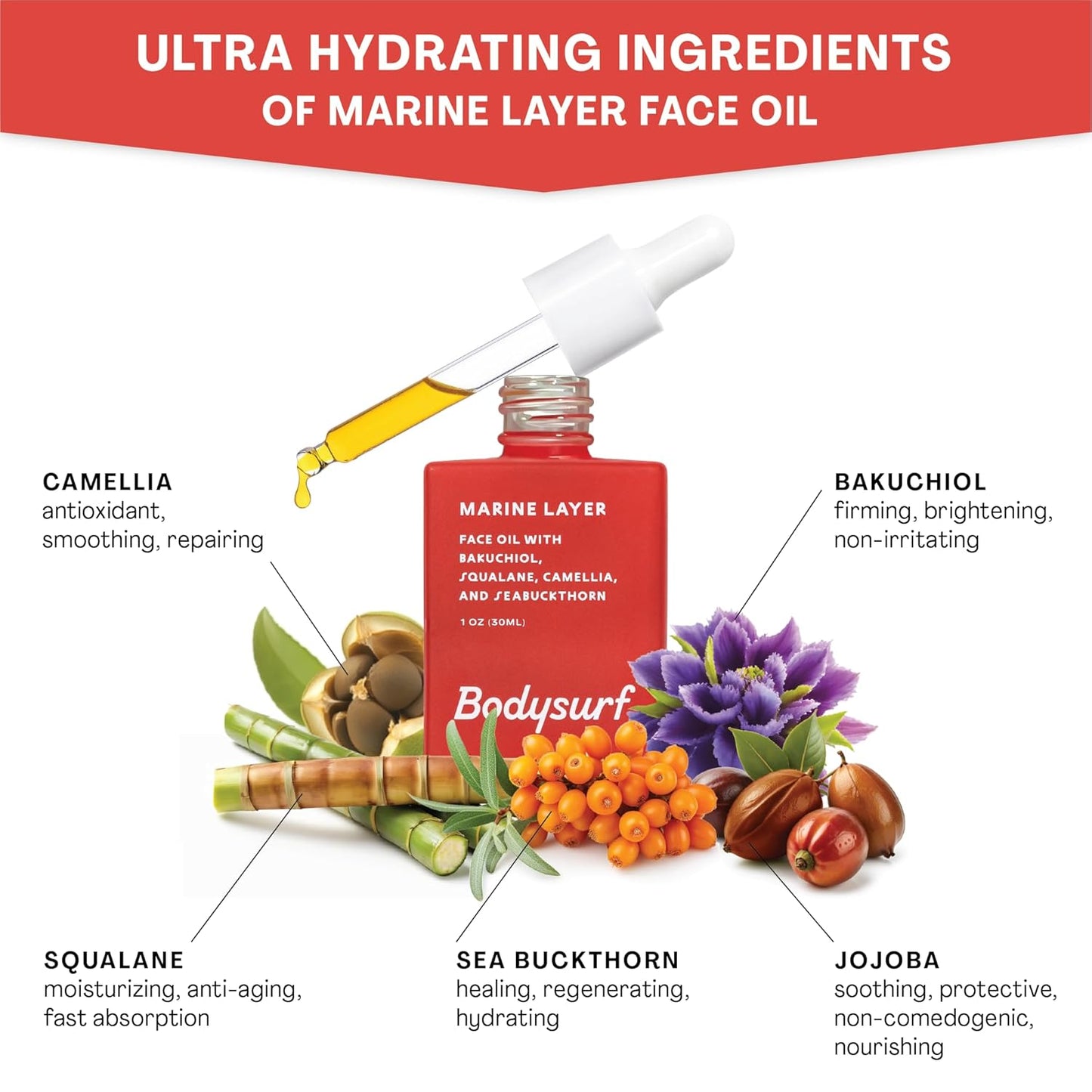 Bakuchiol Face Oil & Serum Alternative - Luxury Anti-Aging Facial Oil with Camellia, Seabuckthorn & Jojoba - Hydrating Organic Skincare Faceoil for Radiance & Wrinkles - Bodysurf Marine Layer (1oz)