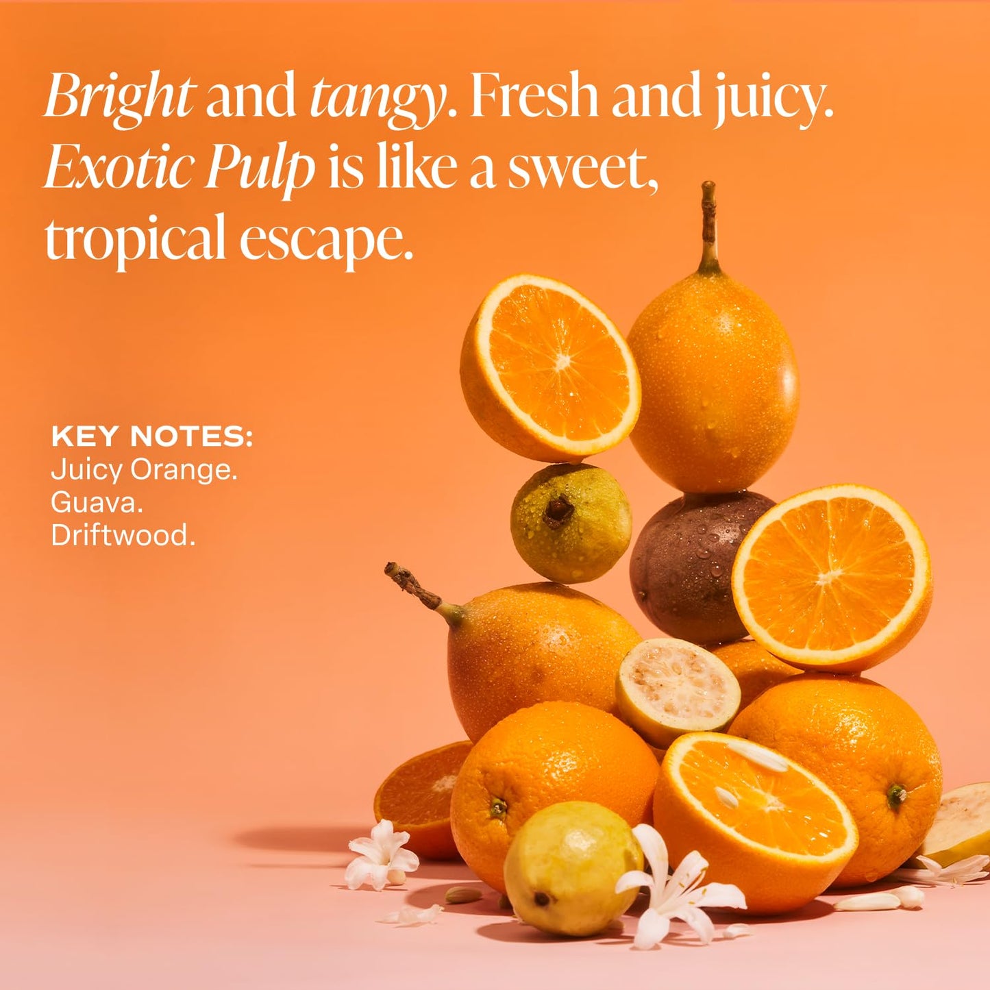 Saltair Body Mist 2 Pack - Fine Fragrance, Lightweight Body Spray Mist with Exotic Pulp Scent. Long Lasting Perfume Mist. 2x 8oz Bottles