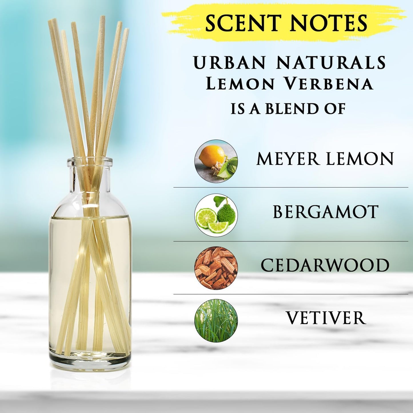Urban Naturals Lemon Verbena Reed Diffuser Set with Reed Sticks | Tart, Citrus with Fruity Notes of Bergamot & Greens | A Cheerful Gift Idea | Made in The USA