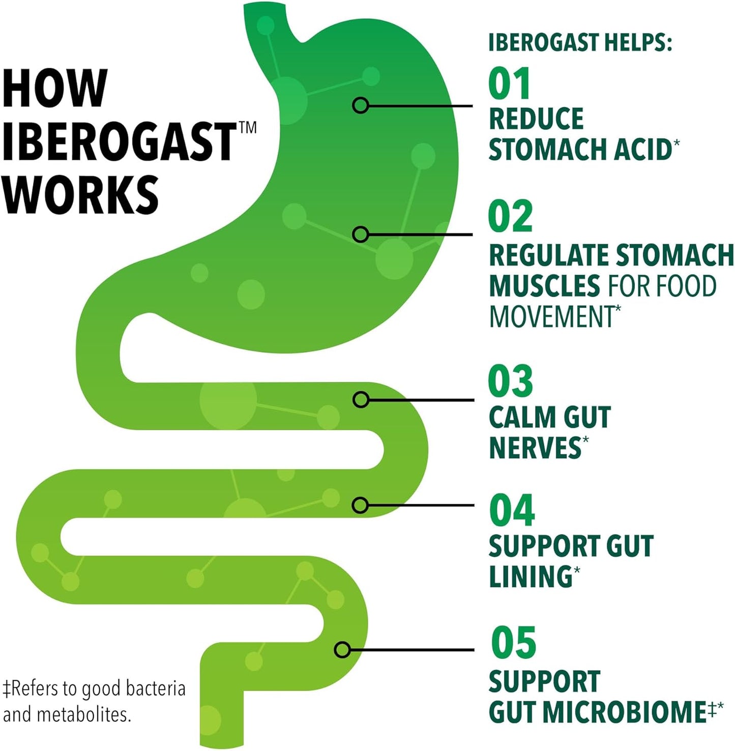 Iberogast Softgels, Herbal Relief of Stomach Upsets: Occasional Indigestion, Bloating, Gas, Nausea, Upset Stomach; 6-Herb Blend with Iberis Amara, Peppermint, Licorice, Lemon Balm; 30ct