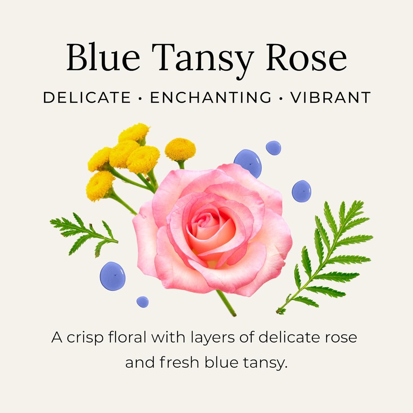 Little Seed Farm All Natural Deodorant Cream - Blue Tansy Rose - Aluminum Free Deodorant for Women or Men, Net Wt. 2.4oz | 68g