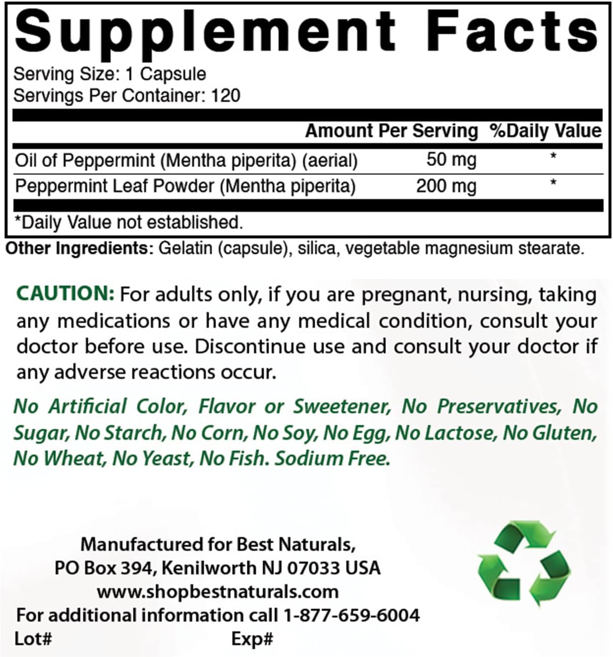 Best Naturals Peppermint Oil 250 mg 120 Capsules (120 Count (Pack of 3))