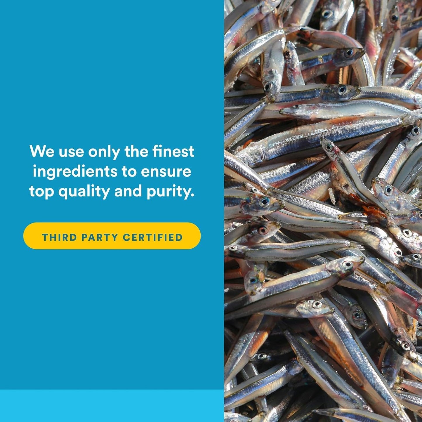 Natural Factors RxOmega-3 Ultra Strength Fish Oil with Vitamin D3, High Potency Formula, 2,150 mg, No Fishy Aftertaste, 150 Softgels