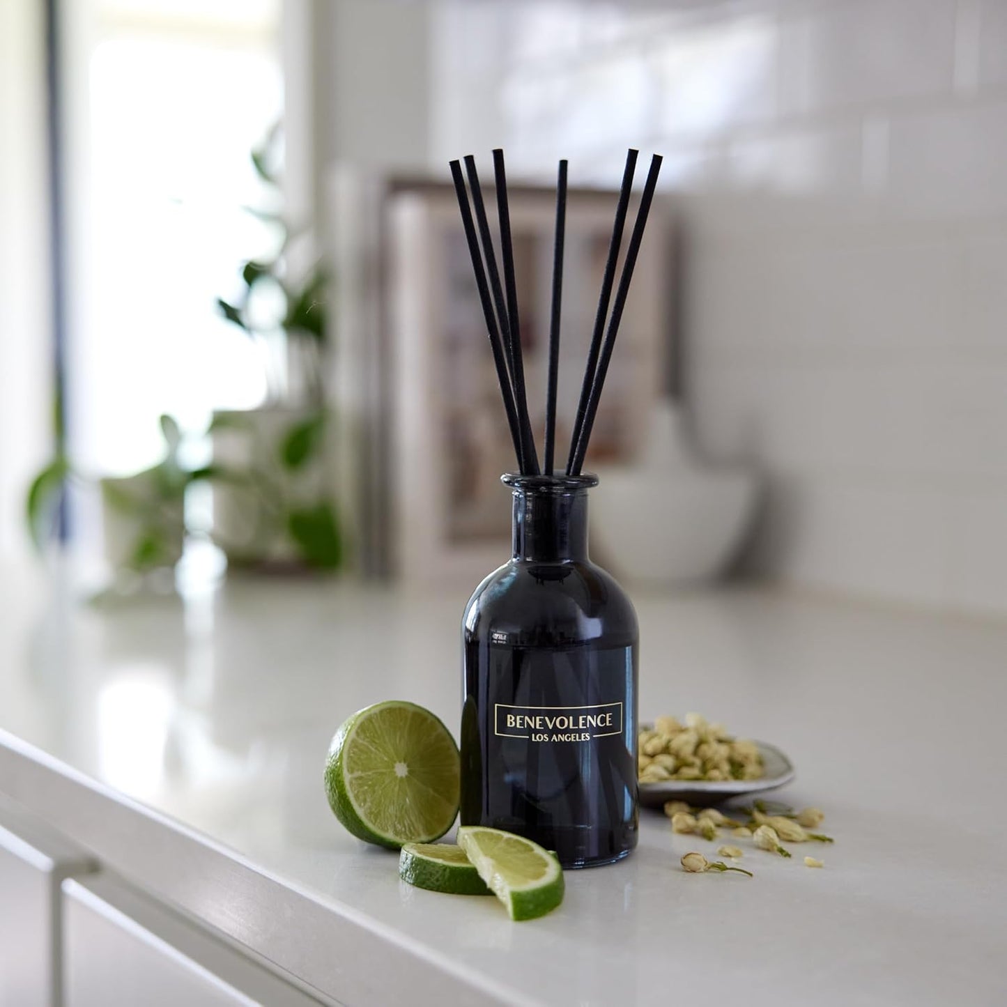 Benevolence LA Reed Diffusers for Home, Bergamot & Jasmine Relaxing Fragrance | Aromatherapy Reed Diffuser Sticks with Gift Box, Scented Sticks for Bathroom | Home Décor