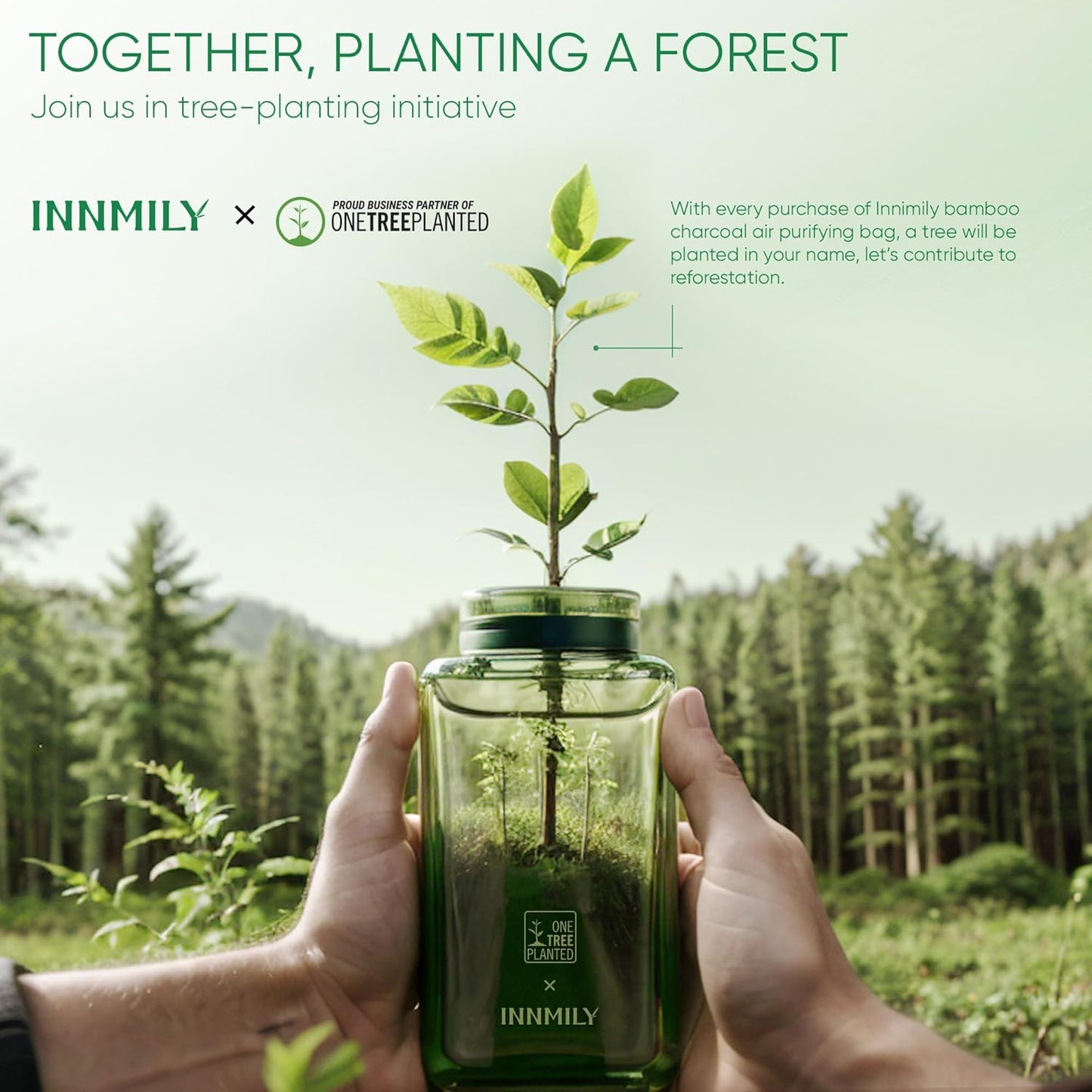 Activated Charcoal Odor Absorber,Large 12 Pack w Hooks Nature Odor Eliminator for Strong Odor, Bamboo Charcoal Air Purifying Bags,Moisture Absorbers for Fresh Home Car Closet Pet,Smoke Room Deodorizer