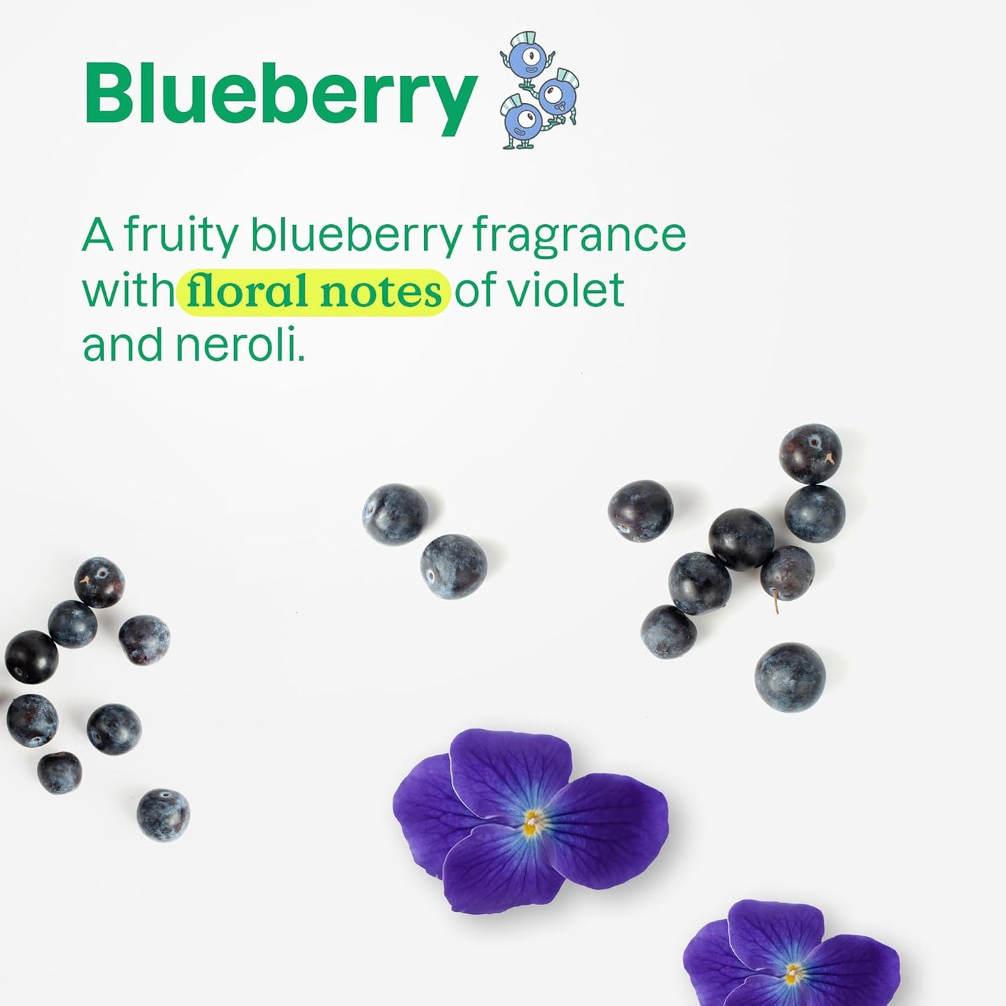 ATTITUDE Hair Conditioner for Kids, Dermatologically Tested Products, Plant- and Mineral-Based Detangler, Vegan, Blueberry, 8 Fl Oz (Pack of 6)