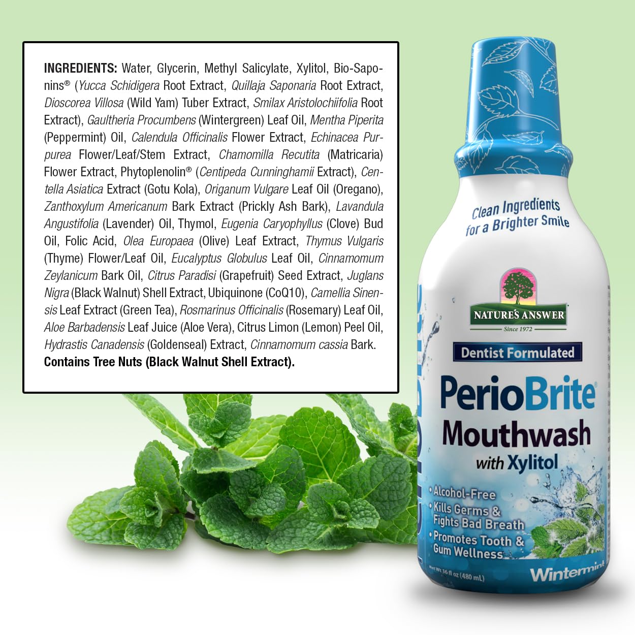Nature's Answer Periobrite Winter Mint Mouthwash | Promotes Healthy Teeth & Gums| Fights Bad Breath | Fluoride-Free, Alcohol-Free, Gluten-Free & Vegan| No Artificial Preservatives 16oz