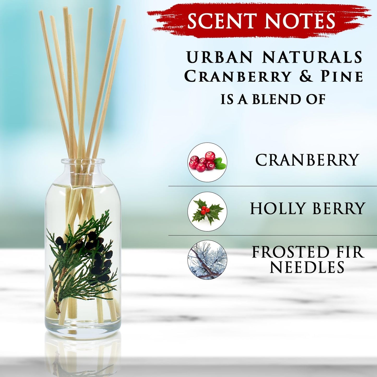 Urban Naturals Holiday Cranberry & Pine Holiday Wreath Reed Diffuser Set with Real Botanicals Idea for The Home. Great Deal!