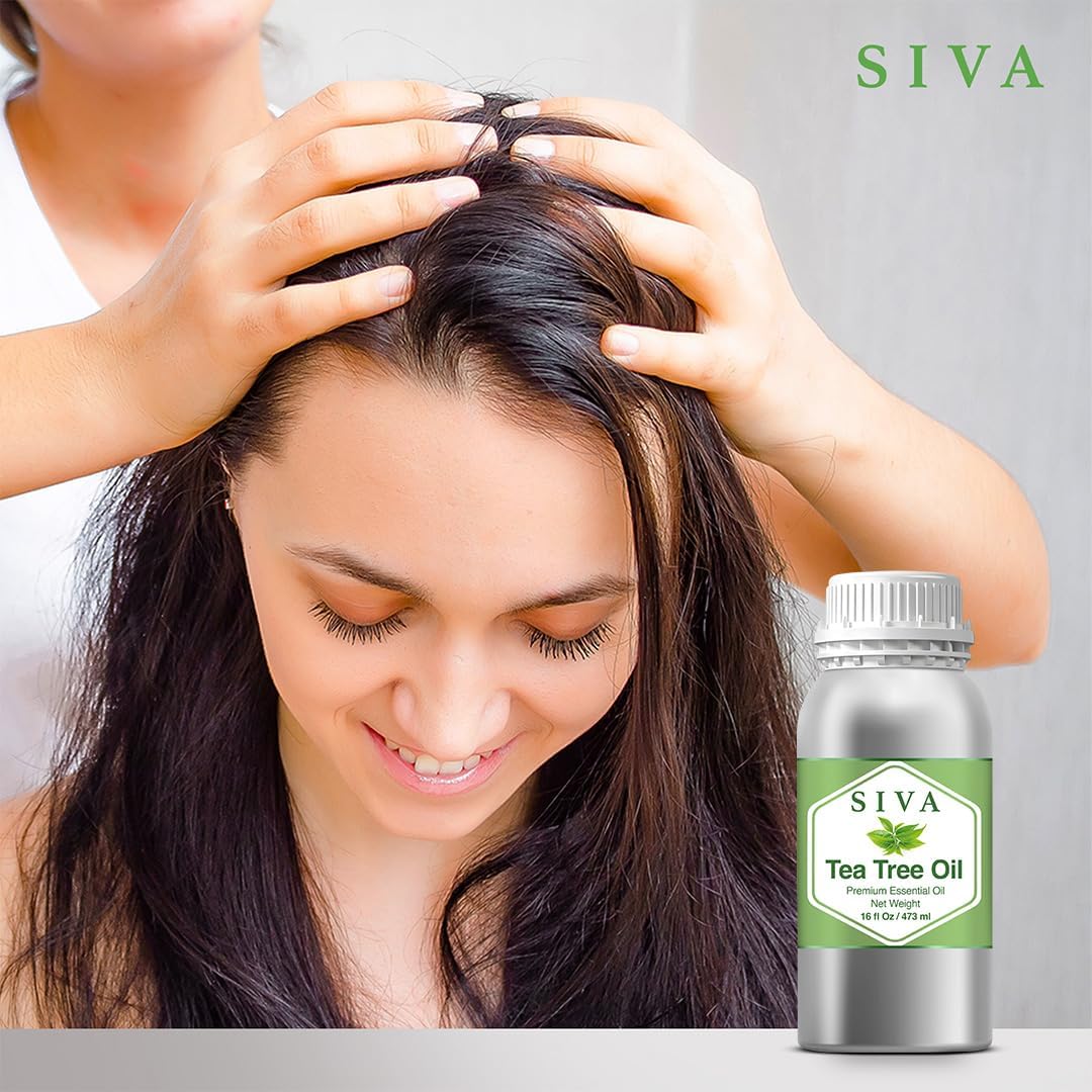 Siva Tea Tree Essential Oil - 16 Fl Oz – Natural Tea Tree Oil - for Diffuser, Face, Skin Care, Aromatherapy, Hair Care, Scalp and Body Massage