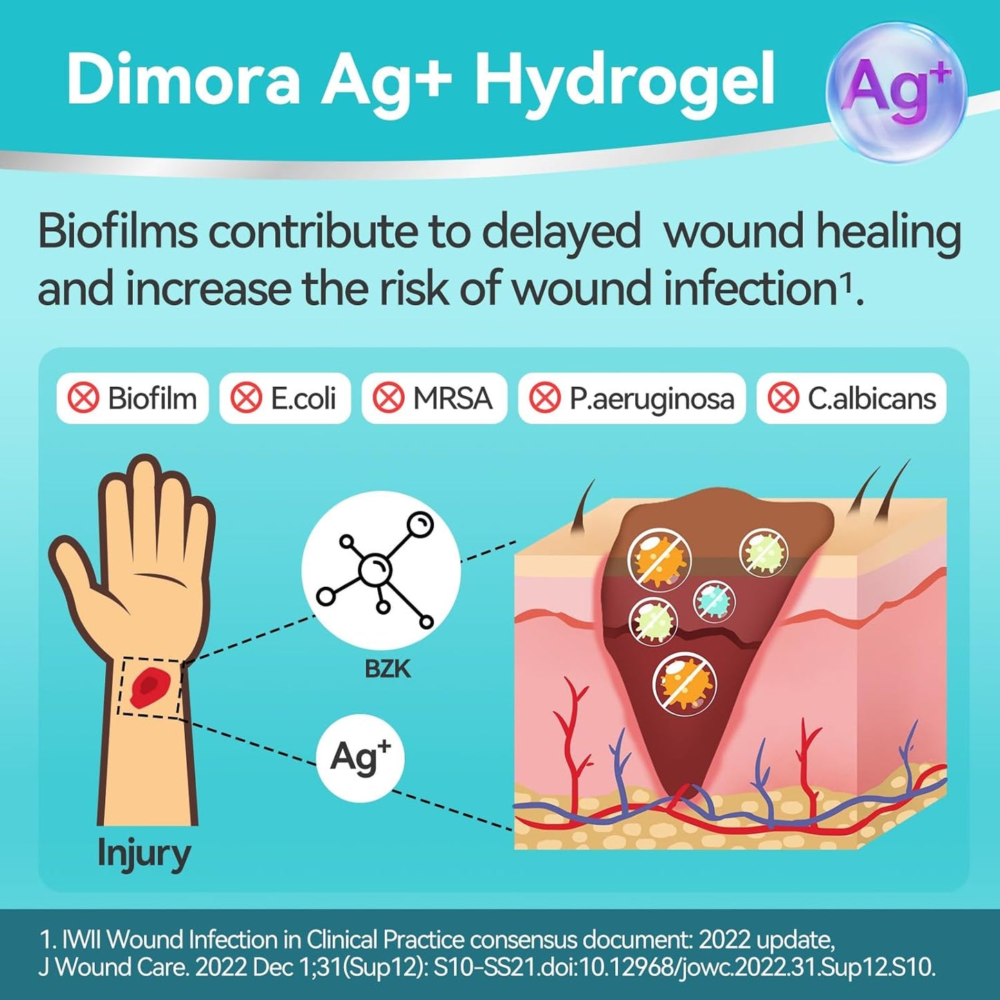 Dimora Antibacterial Gel Wound Dressing 1oz - Silver Hydrogel First Aid Ointment for Wound Healing, Antibacterial Care for Minor Cuts, Abrasions, Lacerations & Burns, Safe Non-Amorphous Formula