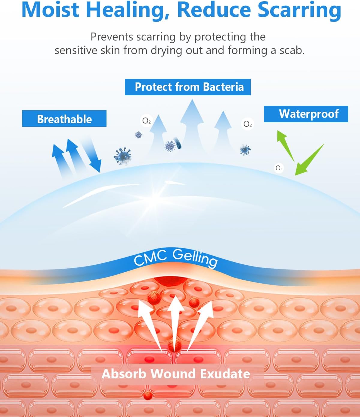 Hydrocolloid Bandages Roll, 2in x 5ft Large Wound Dressing with Self-Adhesive, Fast Healing Patch for Acne, Pimples, Cuts, Burns, Blisters & Minor Wounds, Waterproof & Sterile Protection