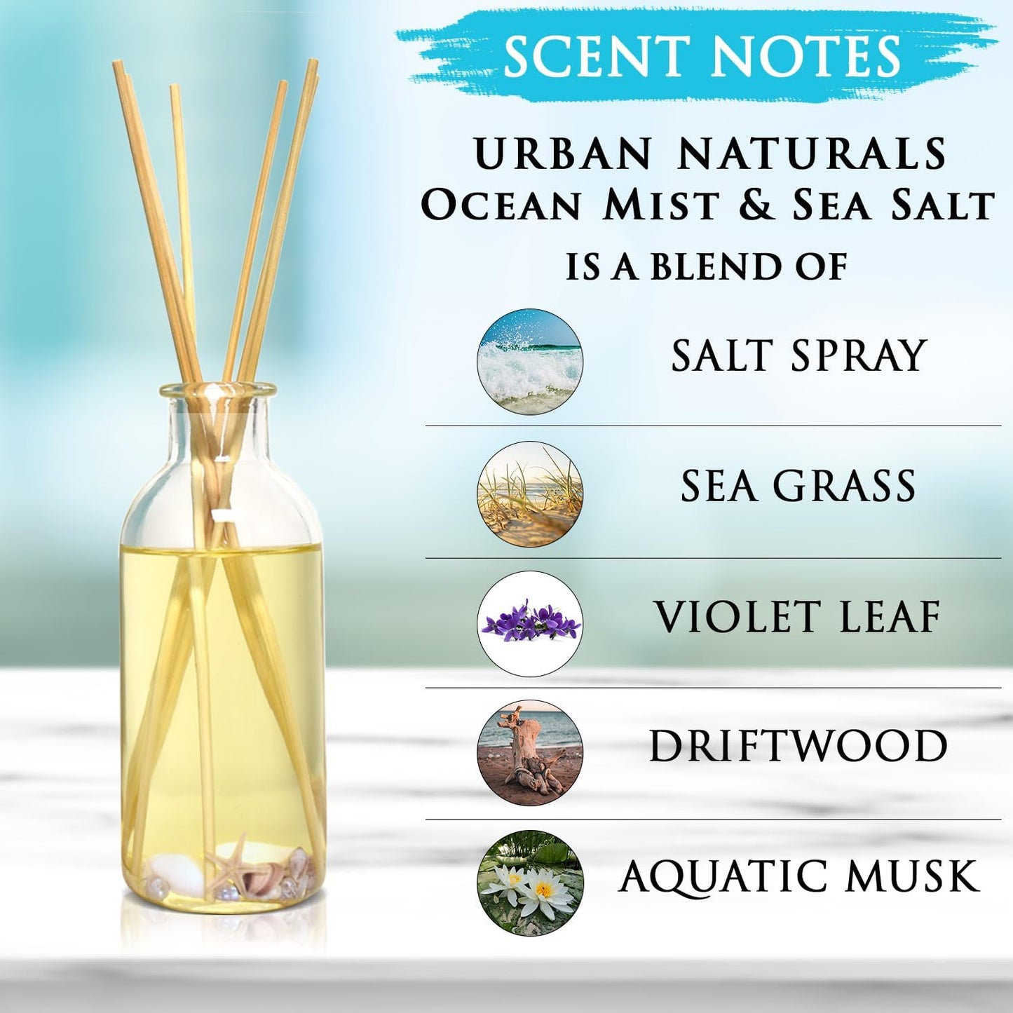 Urban Naturals Ocean Mist & Sea Salt Reed Diffuser Set | Made with Essential Oils & Real Seashells | Decorative Air Freshener Room Diffuser