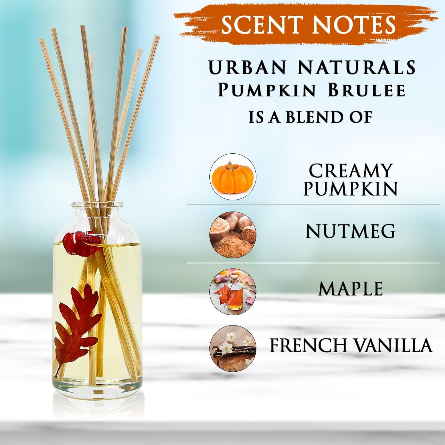 Urban Naturals Pumpkin Brulee Scented Sticks Reed Diffuser Oil Set | Fall & Winter Home Scent | Creamy Pumpkin Pie, Nutmeg & French Vanilla | Beautiful Autumn Home Decor | Great Gift Idea