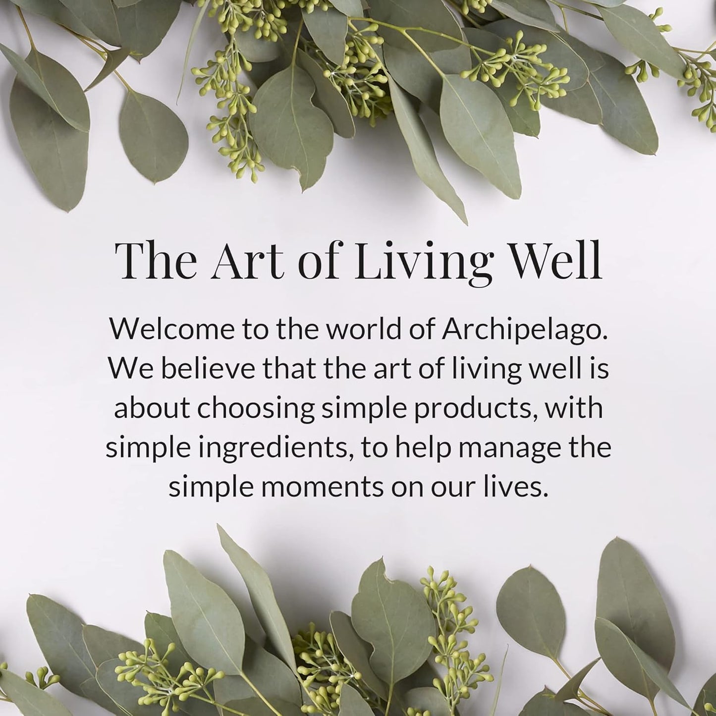 Archipelago Botanicals Charcoal Rose Lotion, Hydrating Charcoal & Rose Body Lotion for Soft & Smooth Skin, Paraben-Free, Phthalate-Free, 18 oz