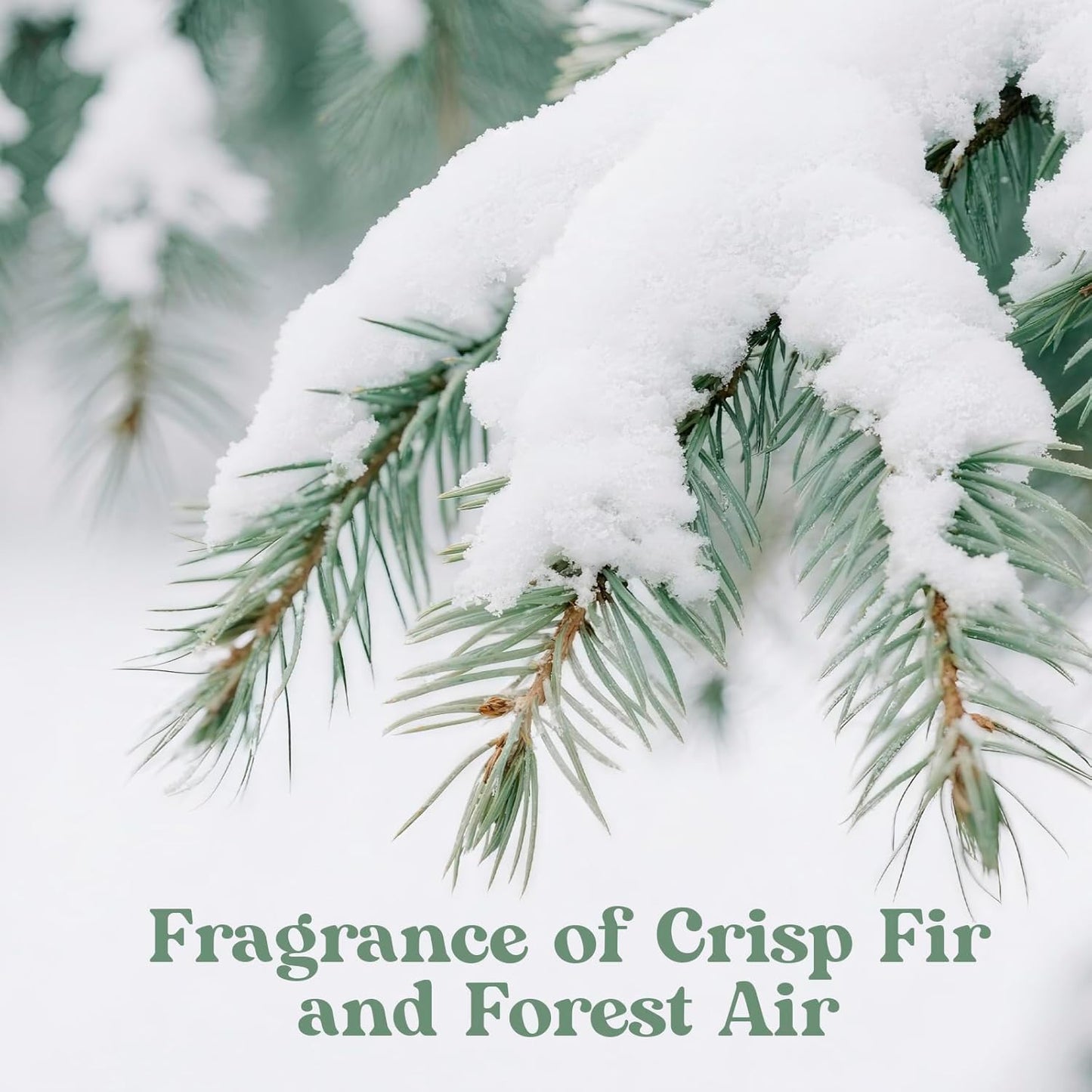 Fir & Forest Room Spray 2 Pack, 3.4oz/100ml Each – Long-Lasting Air Freshener & Odor Eliminator for Home, Bathroom, Bedroom & Office, Concentrated Room Spray