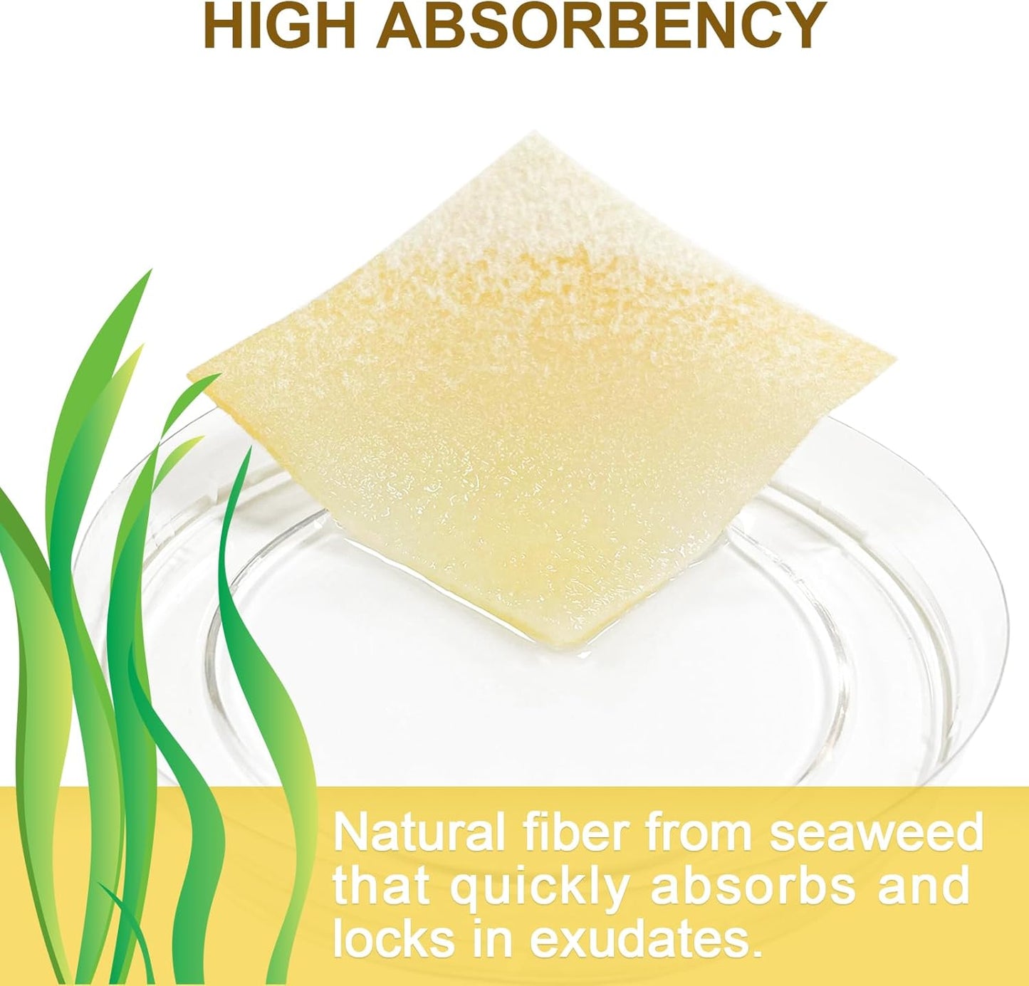 Manuka Honey Calcium Alginate Wound Dressing, 2"x 2" High Absorbency Honey Wound Dressing with Calcium Alginate, Medical Grade Manuka Honey Wound Care Bandages Patches for Wounds(Pack of 10)